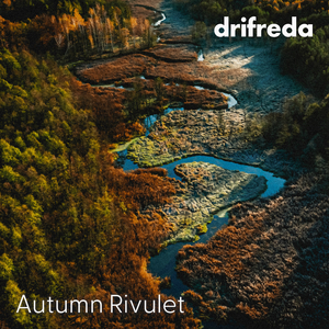 肏肥婆骚逼视频
