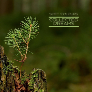 肏肥婆骚逼视频
