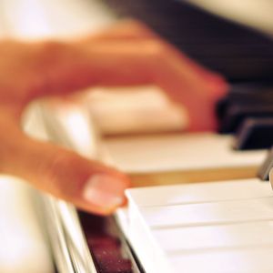 肏肥婆骚逼视频
