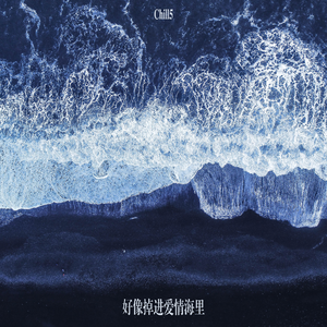 肏肥婆骚逼视频
