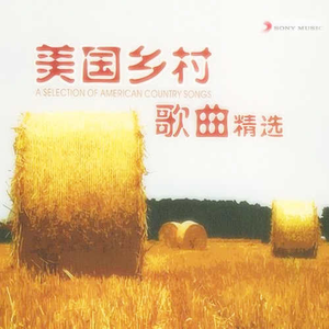 肏肥婆骚逼视频
